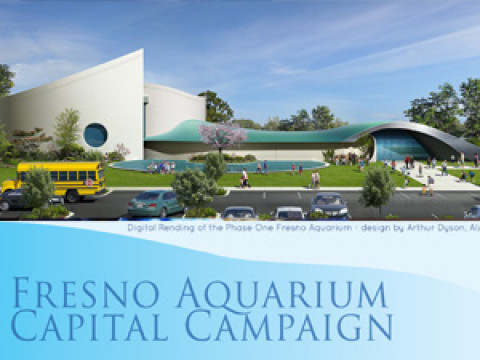 From the Ground Up Campaign